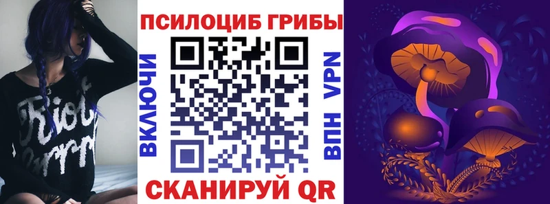 Псилоцибиновые грибы мицелий KRAKEN зеркало Североморск